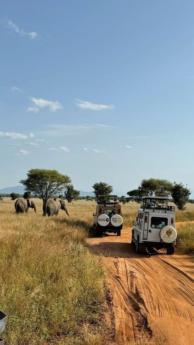 A long open road through grasslands, two trucks moving slowly past elephants in the distance